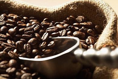 《任天堂Switch运动》新预览介绍短片 4月29日发售